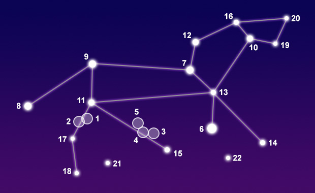 Image result for constellation leo