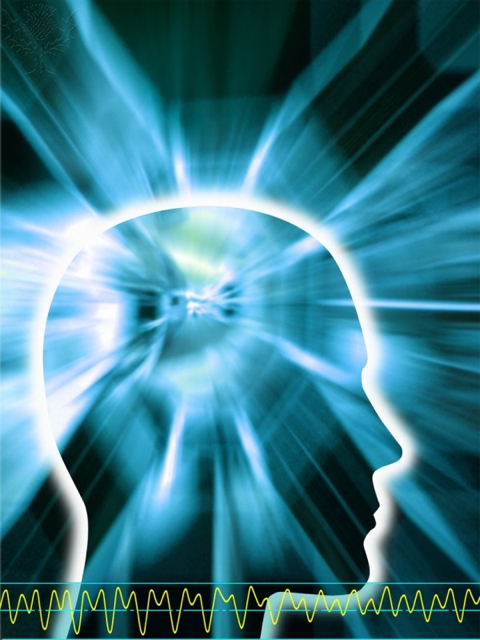Image result for CONSCIOUSNESS