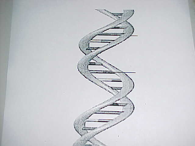 DNA