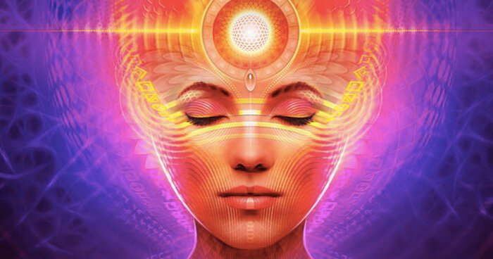 Image result for pineal gland