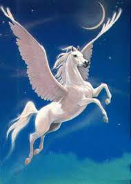 Image result for PEGASUS